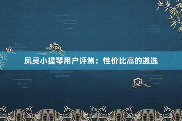 凤灵小提琴用户评测：性价比高的遴选